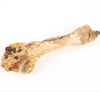 Rolled Beef Skin with Hair 30cm - Treats Unleashed